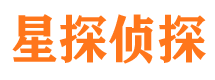 武江市调查公司